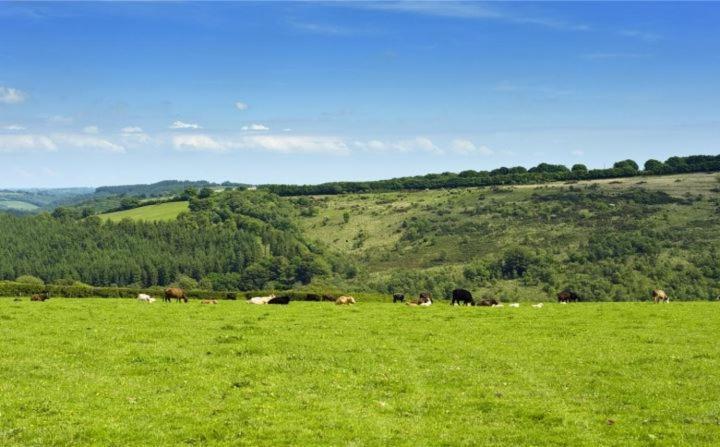 Zeal Farm Bed & Breakfast Dulverton Ngoại thất bức ảnh
